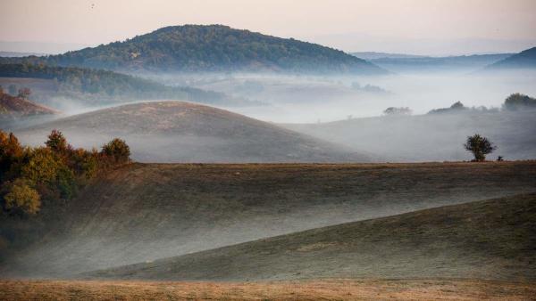 Illusztráció: MTI fotó,  Komka Péter