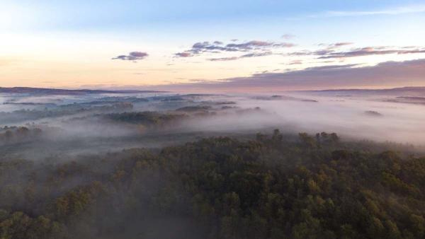 MTI fotó: Varga György