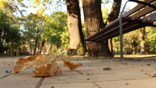 Illusztráció: behir.hu