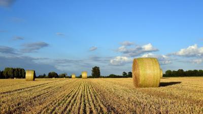 Illusztráció: pixabay.com