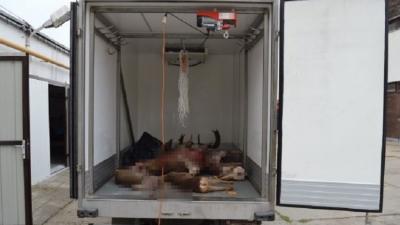 Lopott vadhússal kereskedett egy vadász Szeghalmon. Fotó: police.hu