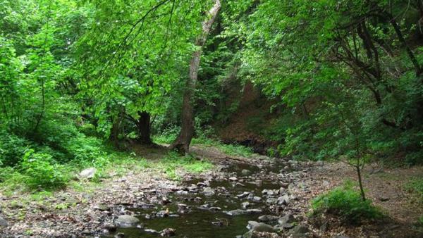 Fotó: Gálhidy László / WWF Magyarország