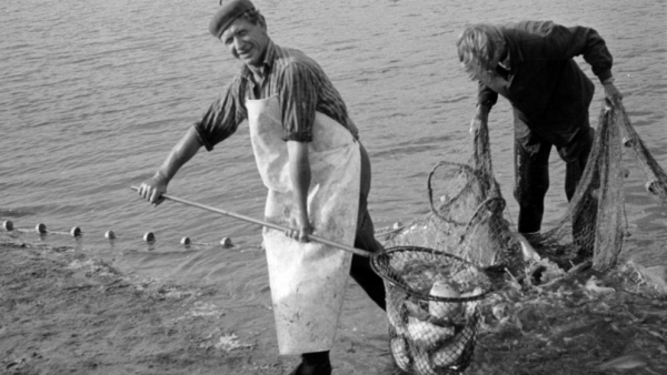 Forrás: FORTEPAN/Péterffy István)