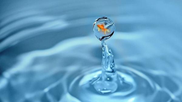 Illusztráció: pixabay.com