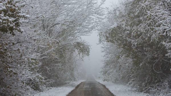 Illusztráció: MTI/Varga György