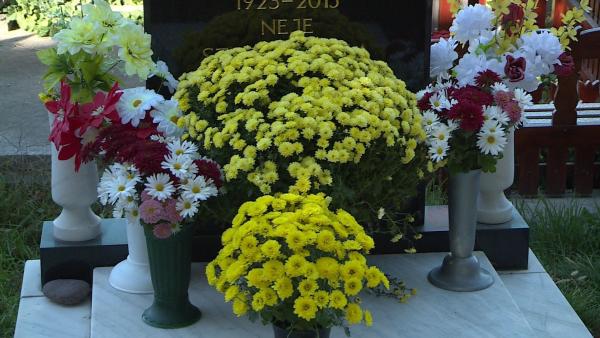 Illusztráció (Fotó: behir.hu)