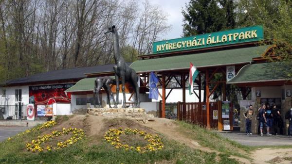 Fotó: Váli Miklós / MTI