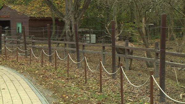 Fotó: Kugyelka Attila