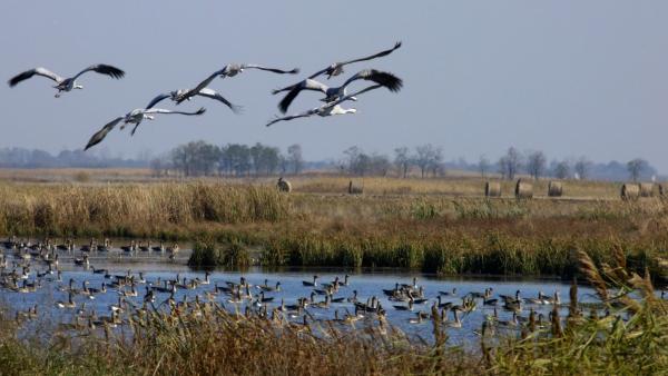 Illusztráció: huskeebike.eu