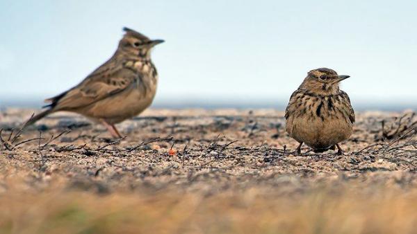 Fotó: turistamagazin.hu