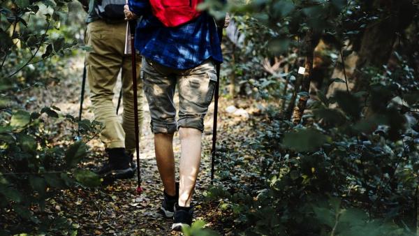 Illusztráció. Forrás: pexels