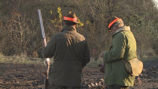 A környező országokból érkező vendégek általában a hagyományos, hajtásos fácánvadászatot keresik hazánkban. Fotó: Kugyelka Attila