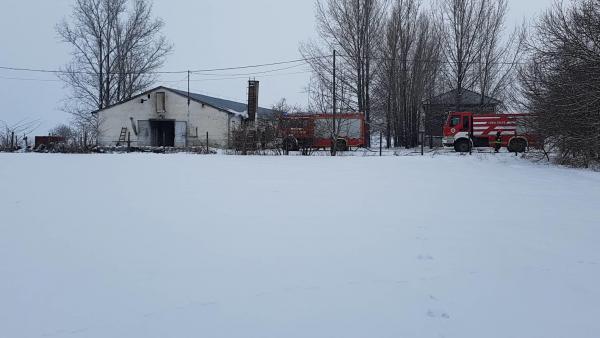 Tűz ütött ki egy békéscsabai istálónál 2019.01.25.-én. Fotó: Kovács Dénes