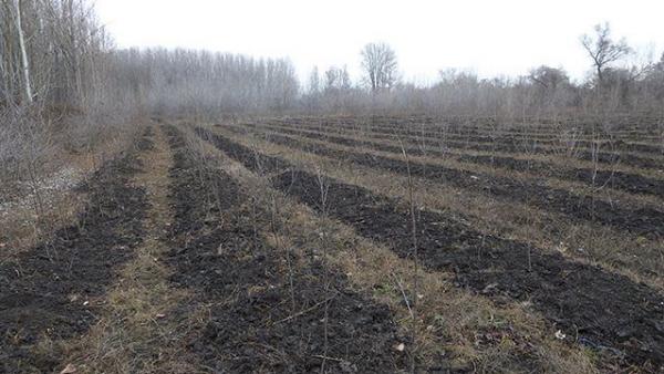 Fotó: Körös-Maros Nemzeti Park