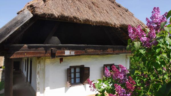 Archív MTI fotó: Czika László