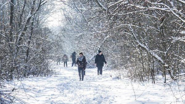 Fotó: Boldog Gusztáv