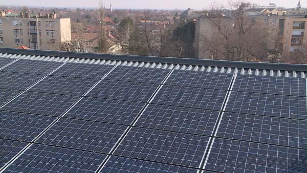 Illusztráció: Kugyelka Attila