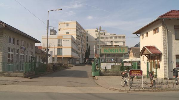 Illusztráció Fotó: Kugyelka Attila