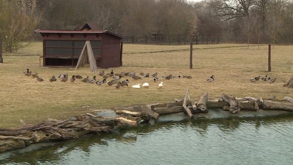 Fotó: Kugyelka Attila