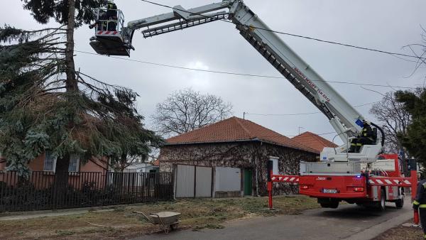 Orosházán okozott kárt a viharos szél. Fotó: Kovács Dénes