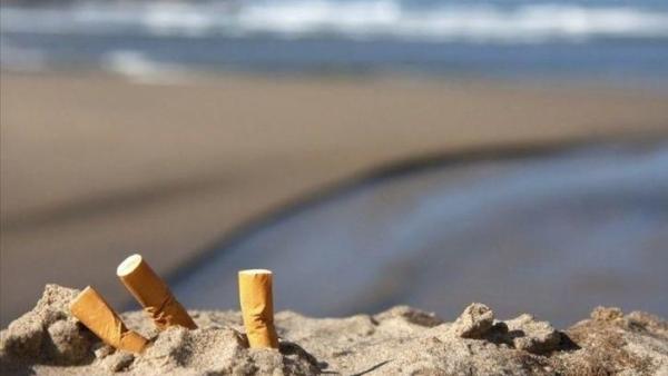 Illusztráció: koponyeg.hu