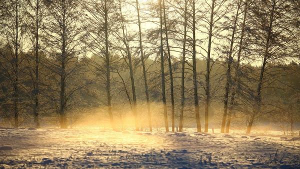 Illusztráció: pixabay.com