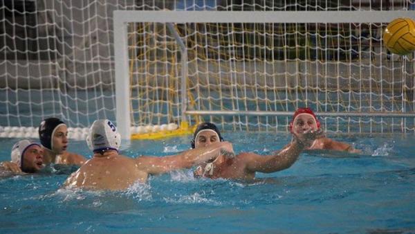 (Fotó: csabapolo.hu)