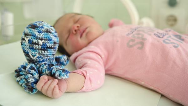 Fotó: Melega Krisztián/Orosházi Kórház