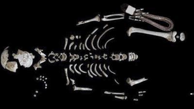 A neandervölgyi csontváza, a mellette levő dobozból előkerült ételfosszíliával