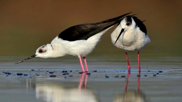 MTI fotó: Kovács Attila