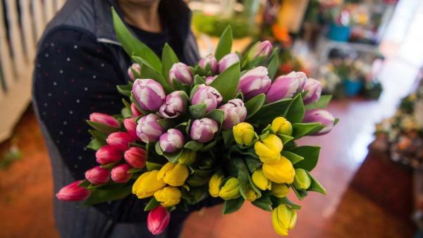 Fotó MTI/Balogh Zoltán