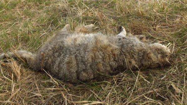 Fotó: Tószögi György