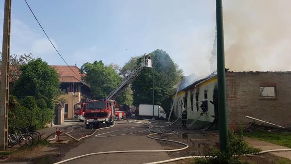 Fotó: Kovács Dénes