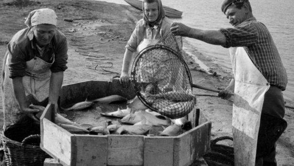 Forrás: FORTEPAN/Péterffy István