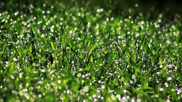 Illusztráció: pixabay.com