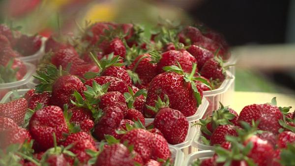 Fotó: Fazekas Róbert 