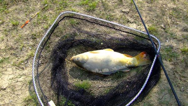 Fotó: Tószögi György