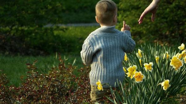 A kép illusztráció (fotó: pixabay.com)