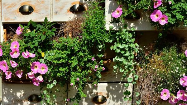 Illusztráció: pixabay.com