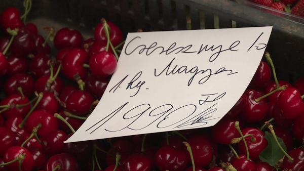 Fotó: Ujházi György