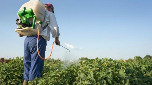 (Fotó: gazdabolt.hu)