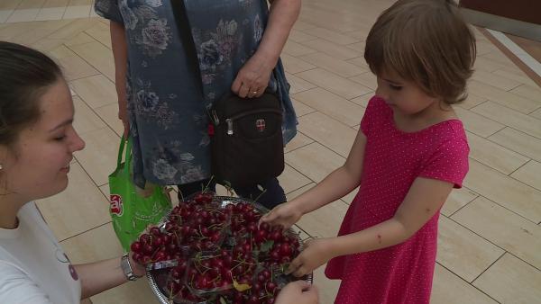 Fotó: Fazekas Róbert