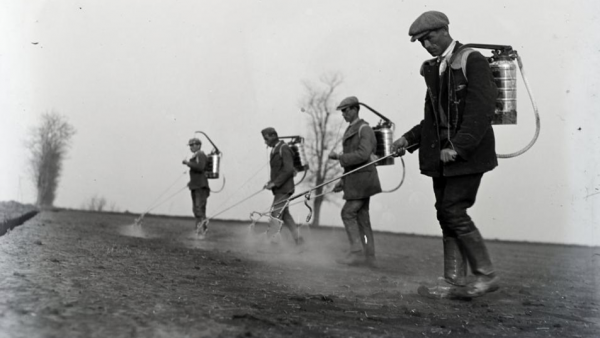 Forrás: FORTEPAN/Szekrényesy Réka