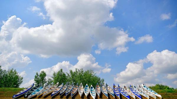 A kép illusztráció