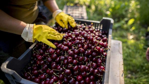 Fotó: MTI/Sóki Tamás