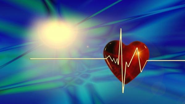 az új szív egészségét