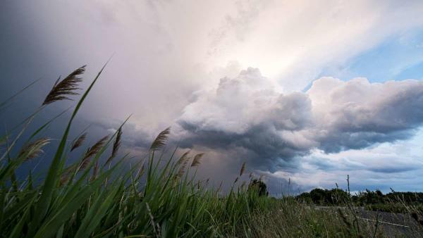 MTI fotó: Sóki Tamás