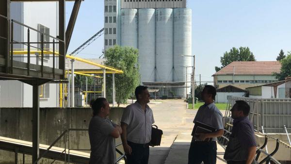 A Nemzeti Ménesbirtok és Tangazdaság Zrt. visszavásárolta a mezőhegyesi vetőmagüzemet a francia Limagrain vállalattól. Fotó forrás: Nemzeti Ménesbirtok és Tangazdaság Zrt. / Nagy-György Tamás, Tarkó Gábor