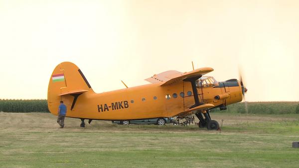 Korábbi felvétel. Fotó: Kovács Dénes