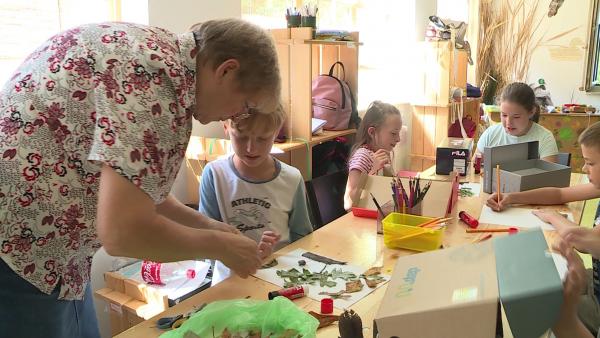 Illusztráció (Fotó: Máthé Csongor)